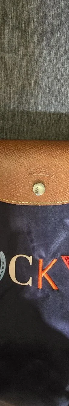 Longchamp Navy Tote with Brown Leather Trim and Colorful 'Lucky' Applique